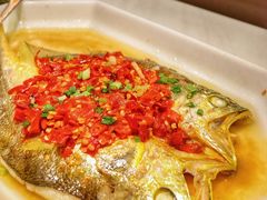 -金戈戈香港豉油鸡(皇庭广场店)