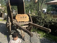-茯茶镇