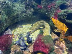 -泉城欧乐堡海洋极地世界