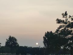 -汉长安城未央宫国家考古遗址公园