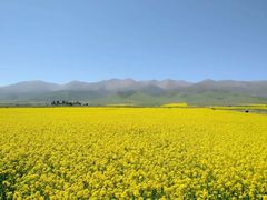 -青海湖国家重点风景名胜区