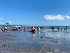 -台山黑沙湾海浴场