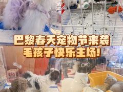 -巴黎春天(陕西路店)