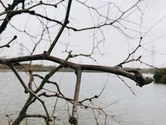 -大港湿地公园