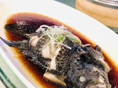 -碧丽宫大酒店(召稼楼店)