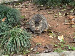 -清漾毛氏文化村