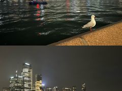 -悉尼歌剧院