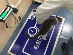 -宠颐生宠物医院外科·内科·皮肤科·影像科(石龙店)