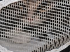 -宠颐生中康贝怡动物医院