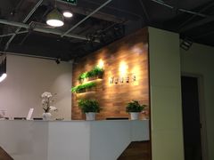 -威利旺卡烘焙西点蛋糕培训(朝阳校区)
