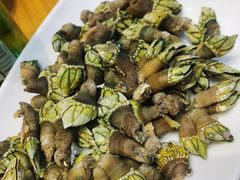 白灼笔架螺-舌尖上·霞浦滩涂海鲜·新闽菜(总店)
