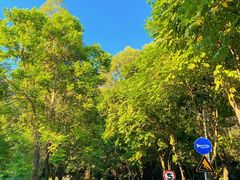 -火炉山森林公园