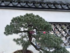 -上海醉白池公园