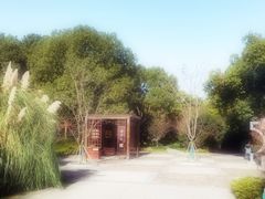 -昆山城市生态森林公园