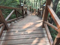 -大岭沟猕猴桃谷风景区