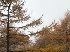 -崂山巨峰游览区