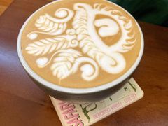 -SAFARI COFFEE