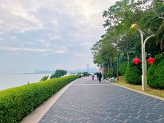 -深圳湾公园(南山区)