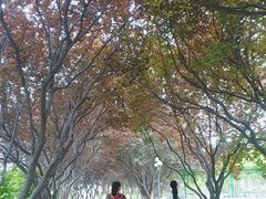 -石家庄市植物园