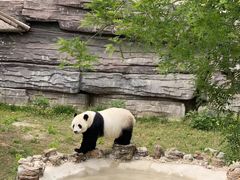 -石家庄市动物园