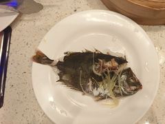 -青蓬蒸汽海鲜·深圳老字号·团建聚会(壹方城店)