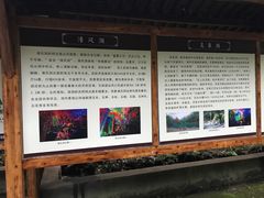 -灵栖洞天
