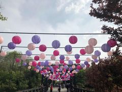 -合肥三国新城遗址公园