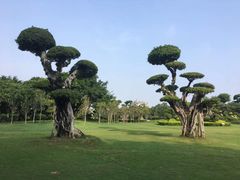 -南宁南湖公园