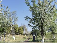-桂溪生态公园