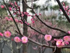 -静安雕塑公园