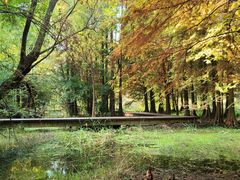 -溱湖国家湿地公园