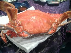 -浩运·海鲜青岛菜·海胆水饺(石老人店)