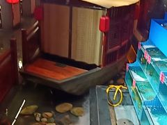 -潇湘甲鱼村(清河店)