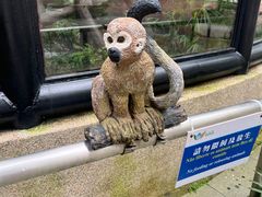 -石排湾郊野公园