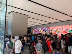 -Apple 零售店(Canton Road)