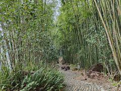-水底山庄园温泉