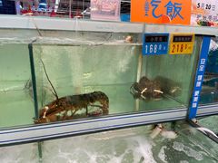 -世纪联华超市(浦电路店)