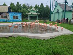 -秦皇岛野生动物园