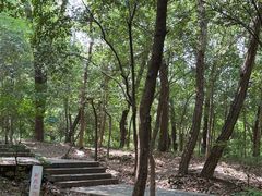 -紫金山山顶公园