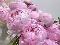 -淘花源花艺鲜花店 开业花篮 绿植(南部商务区店)