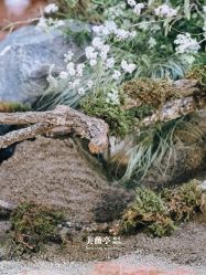 -美薇亭婚礼顾问