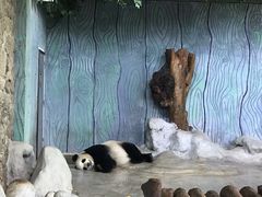 -海南热带野生动植物园