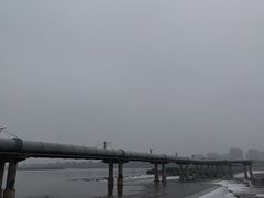 -绿堤公园