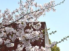 -龙美术馆(西岸馆)