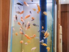 -半勺·新徽菜(银泰城店)