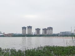 -九龙湖公园