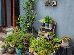 -IFIF 如果花園(宽厚里店)