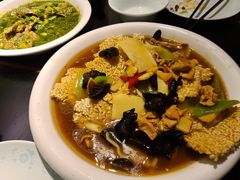 -陈麻婆豆腐总店