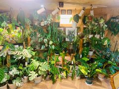 -Rabbit Cafe私房西餐甜点咖啡(栖霞路店)