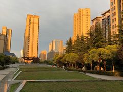 -木塔寺遗址生态公园